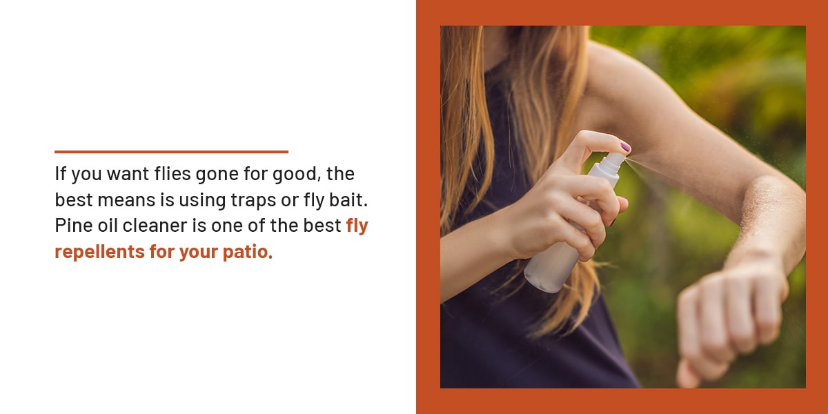 Use Fly Bait or Traps