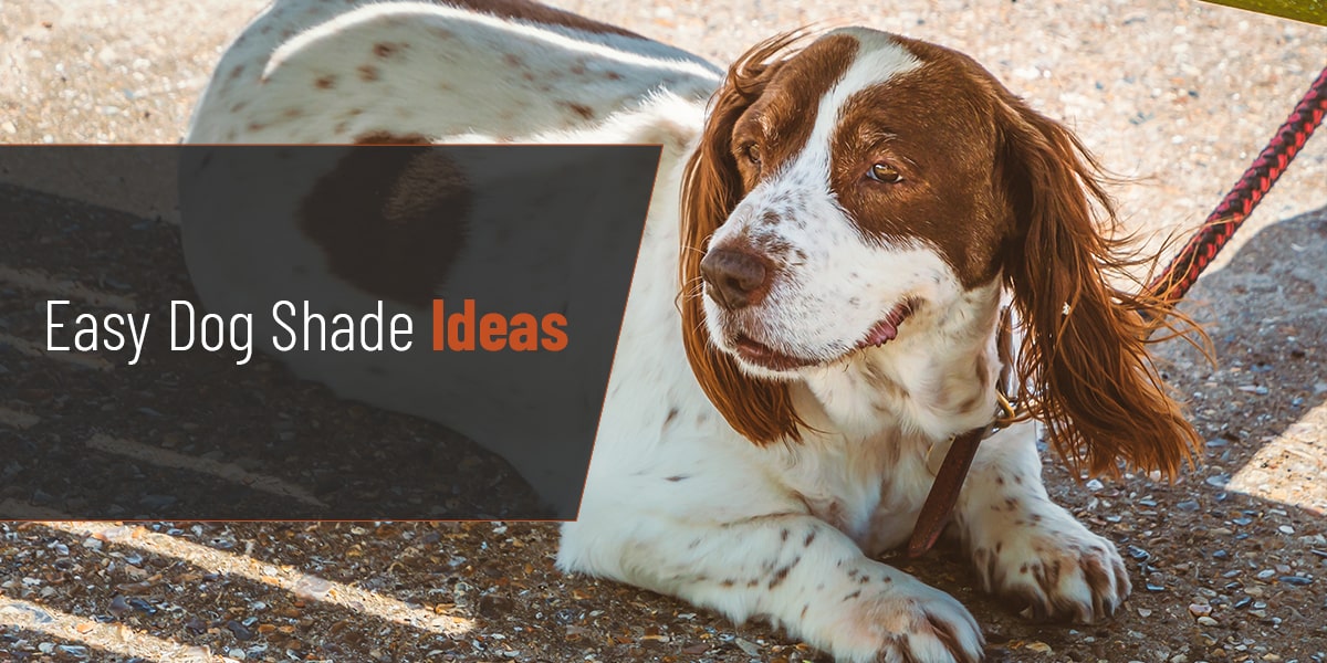 Easy Dog Shade Ideas